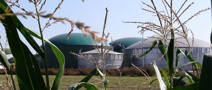 Biogas – Nische für die Nische