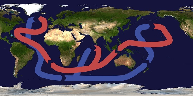 Vorschaubild: Globales Förderband der Meeresströmungen. Grafik: Brisbane / Wikimedia / unter Lizenz CC BY-SA 3.0