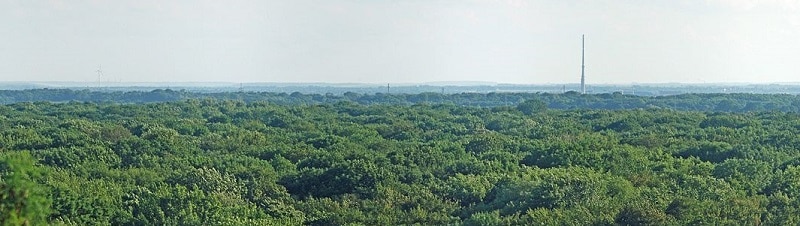 Wird wohl nie einen Frackingturm sehen - der Leipziger Auwald. Foto Martin Geisler / Wikimedia / Lizenz unter CC BY-SA 3.0
