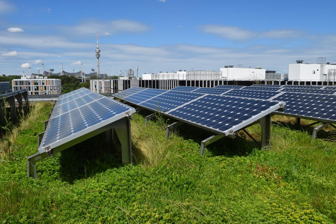 PV-​Anlage auf dem Gründach – eine mögliche Kombination