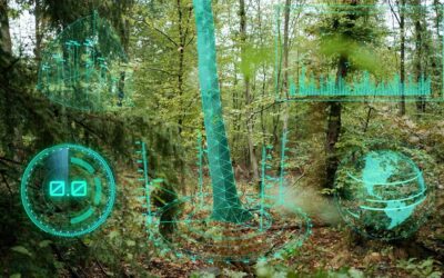 Mit Digi­ta­li­sierung gegen das Waldsterben