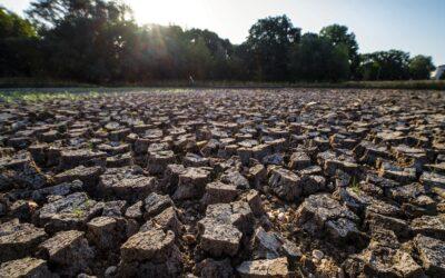 Auch die Böden heizen sich durch den Klima­wandel gefährlich auf
